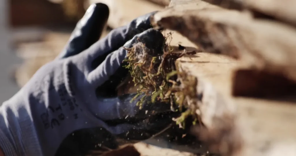Le travail du chêne dans la fabrication de portes haut de gamme