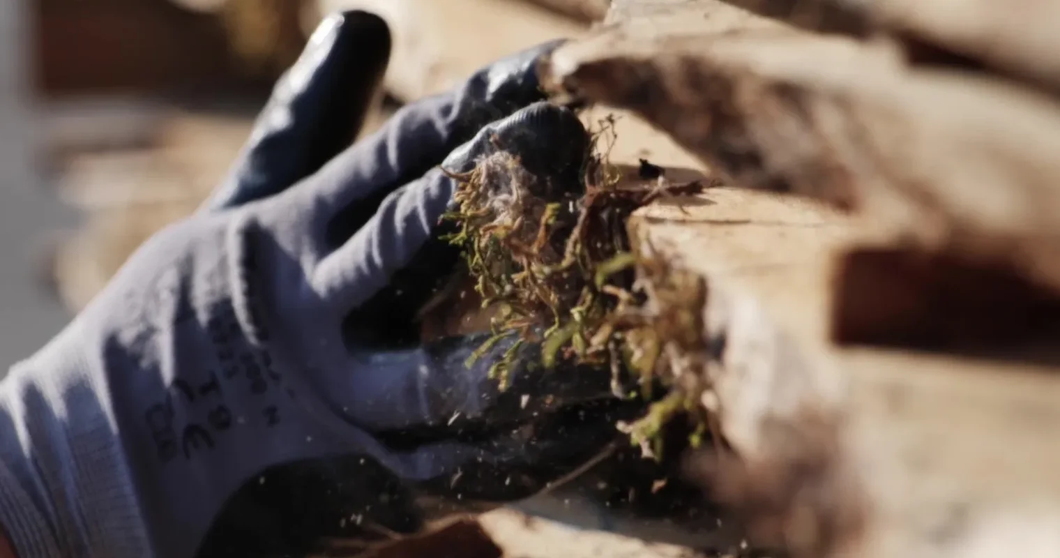 Le travail du chêne dans la fabrication de portes haut de gamme